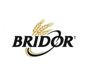 Bridor